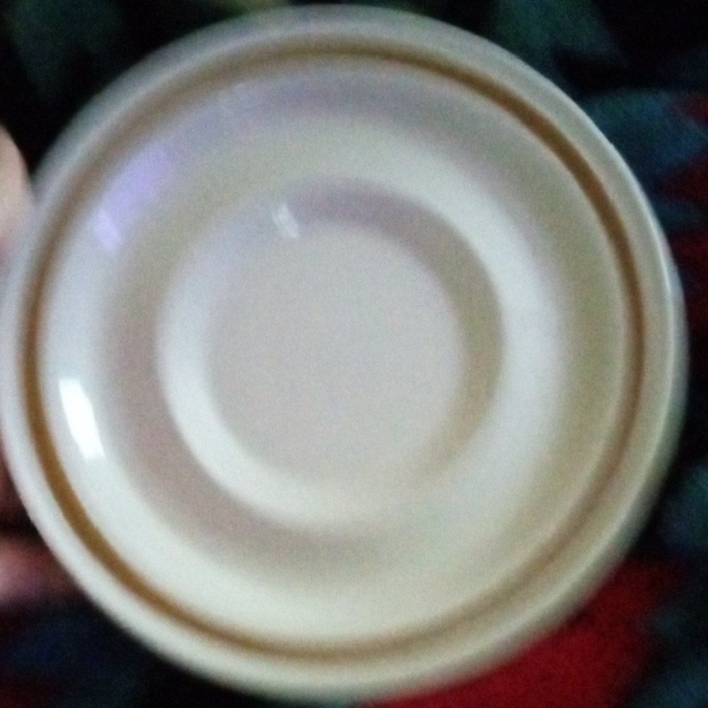 Elegant Cream Dinner Plate